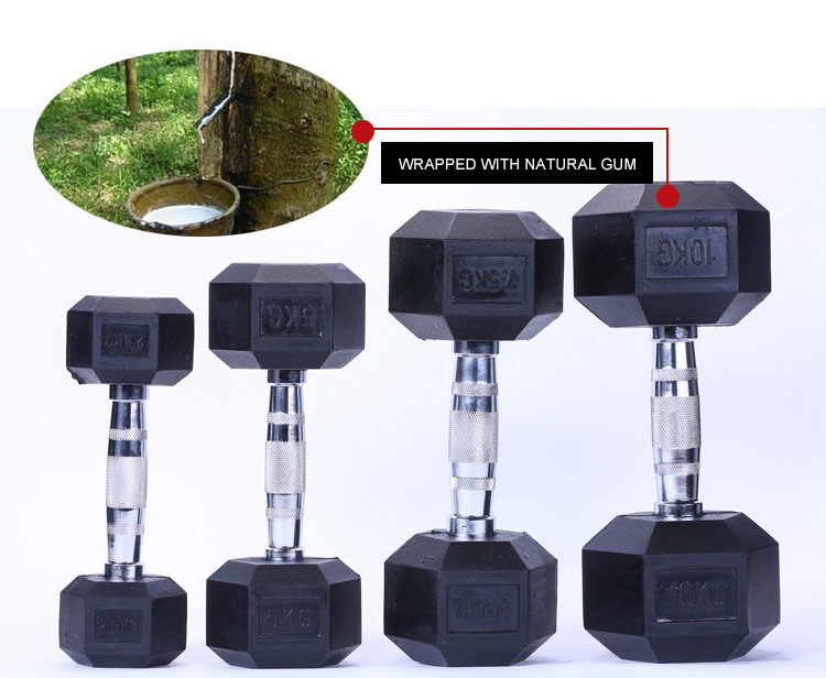 Steel Home Weight Lifting 20kg Hex Rubb Dumbbell for Fitness