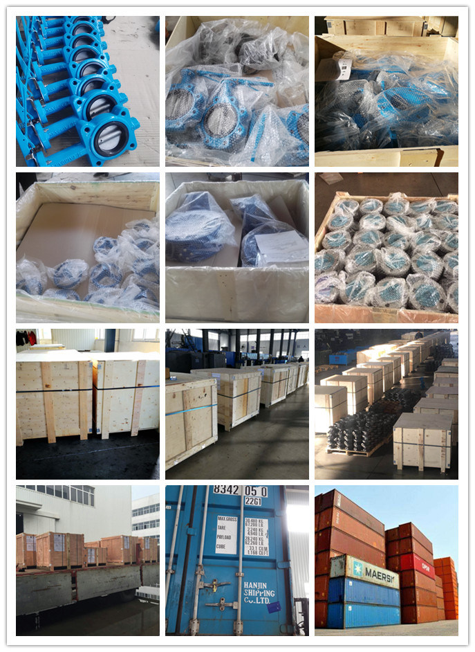 Cast Iron Wafer Metal-Seat Butterfly Industrial Valve