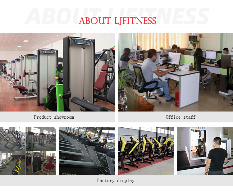 Multi-Adjustable Bench Commercial Fitness Equipment for Training (LJ-5531)