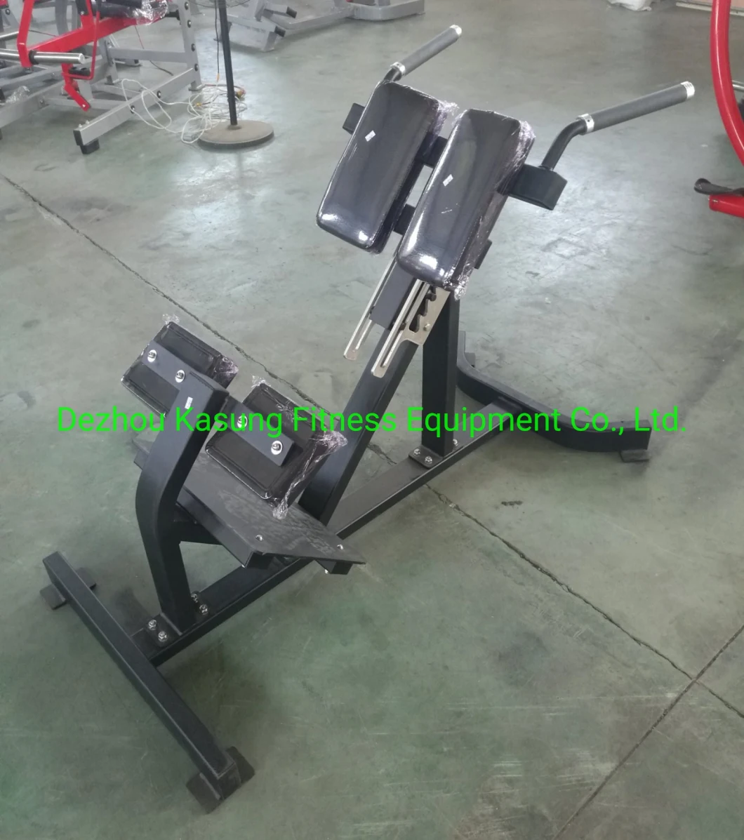 Hammer Strength Gym Equipment / Seated Arm Curl (SF1-3017)