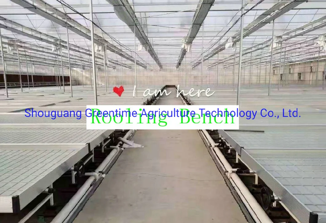 Hydroponic Flood Table with Metal Rolling Benches for Agricultural Planting