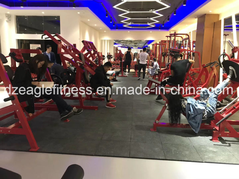 Free Weight ISO Lateral Dy Row Strength Gym Equipmenthammer Strength Machines