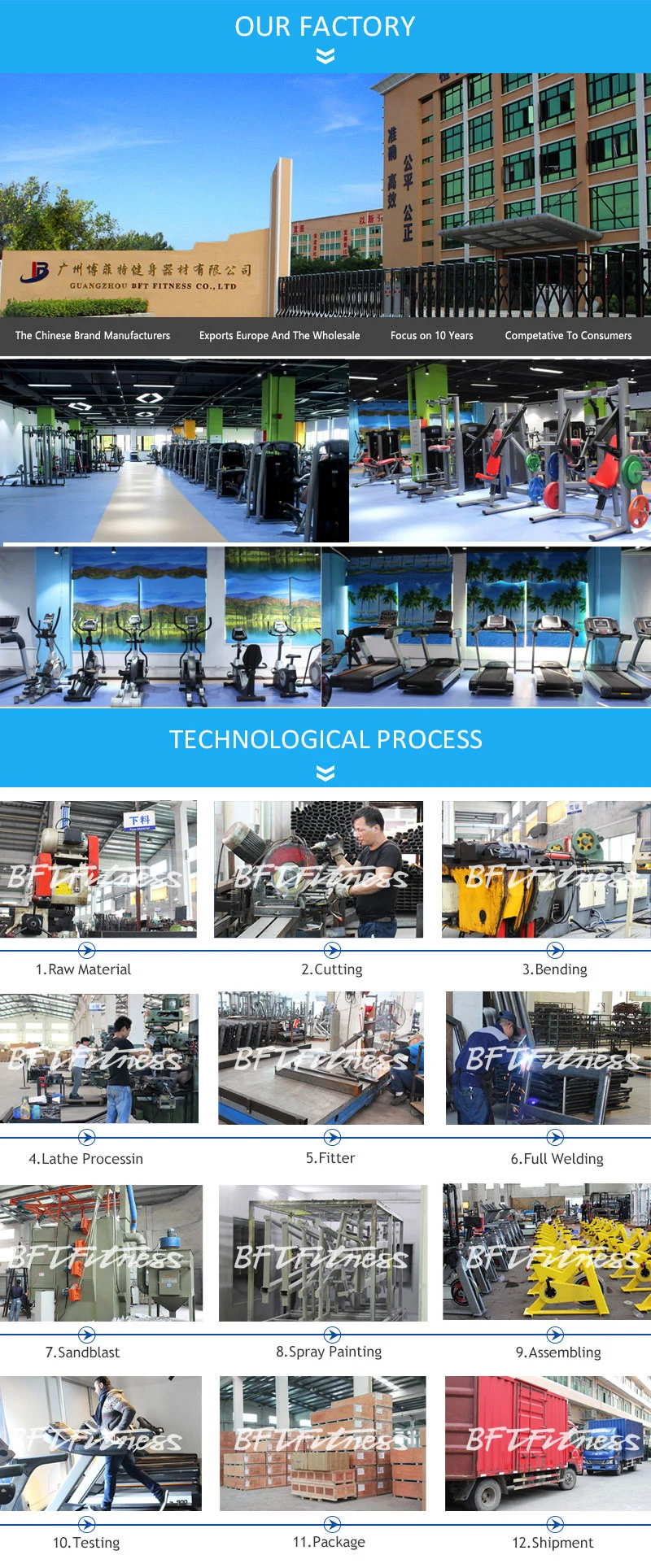 Sport Equipment Supplier/ Gym Strength Equipment (BFT-2020)