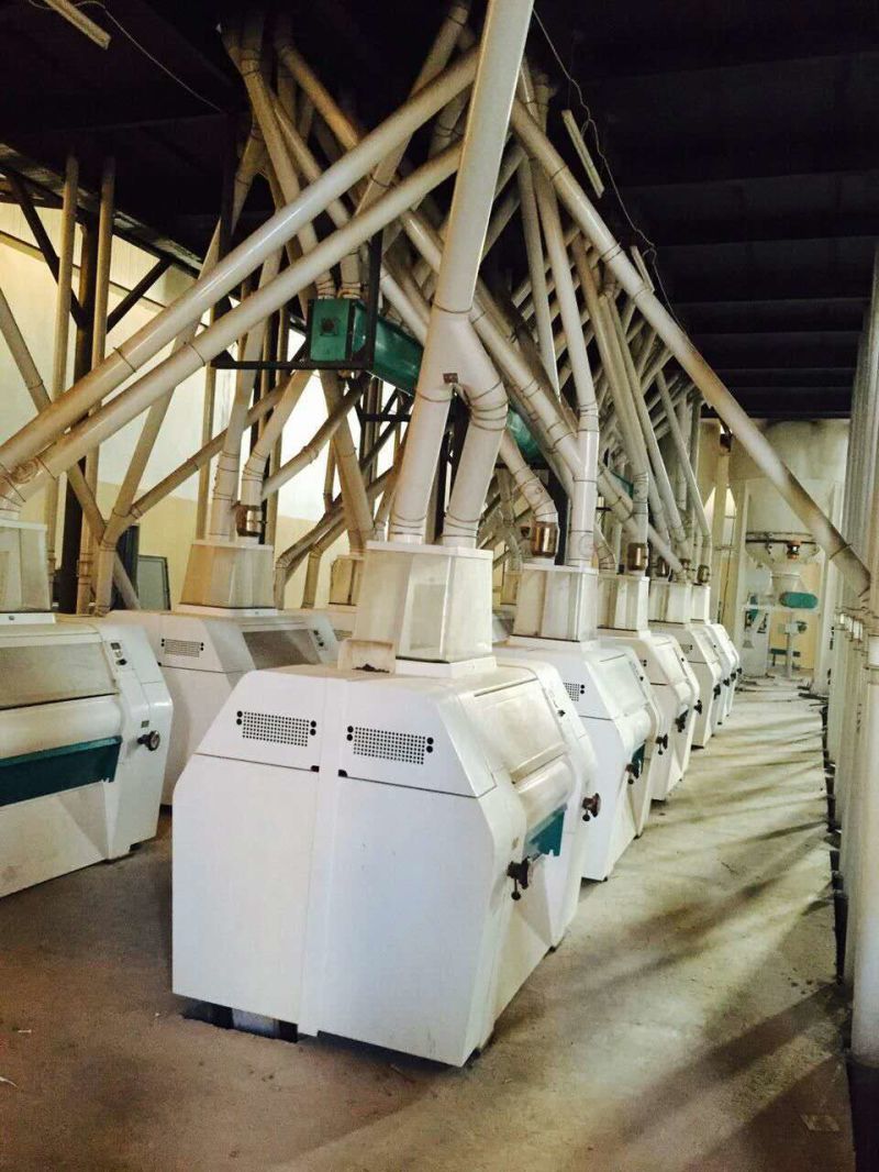 High Quality Complete Set Wheat Flour Mill Plant