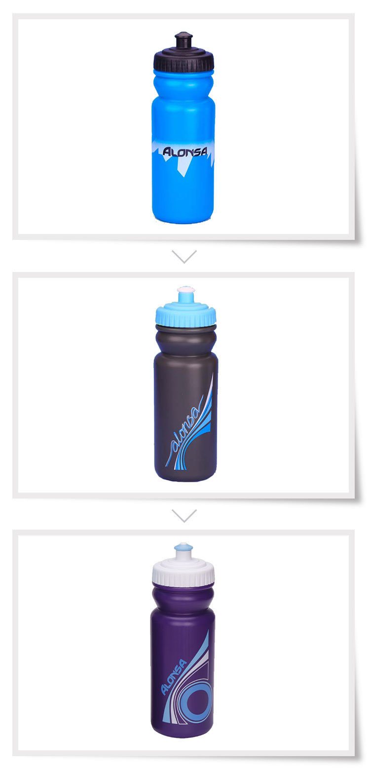 Customized BPA Free Foldable Water Bottle Bag /Collapsible Water Bottle/Folding Water Bag with Handgrip