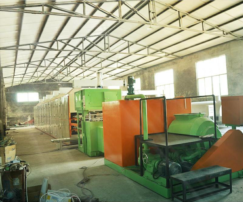 Automatic Soft Ware Egg Tray Machine