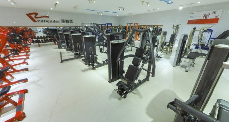 Gym Equipment of Adjustable Abdominal Bench (FW-1012)