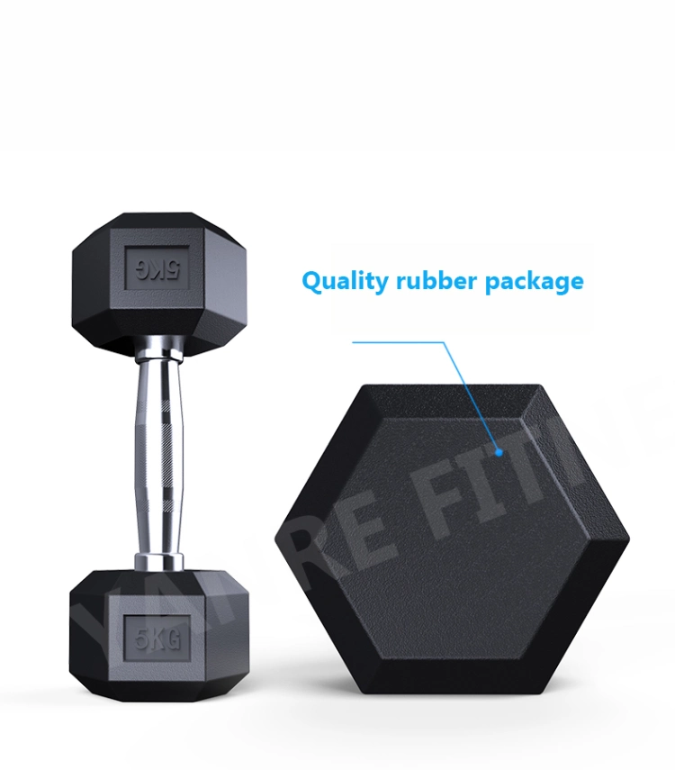 Wholesale New Popular Gym Fitness Cross Fit Equipment Accessories Hex Dumbbell