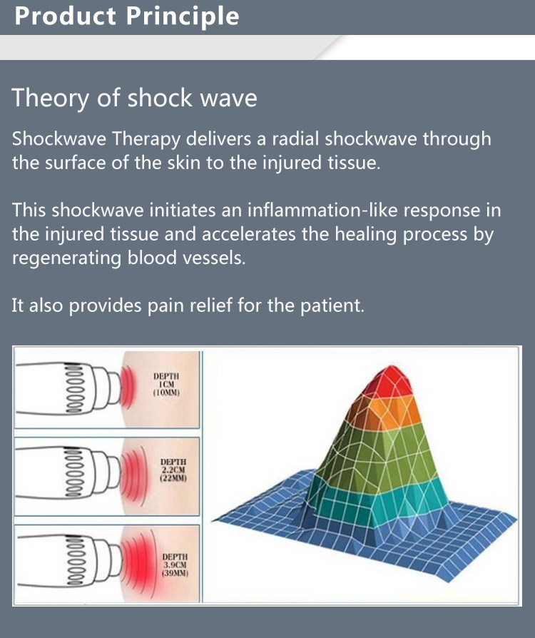 2 in 1 Shockwave Cryolipolysis Machine for Body Slimming