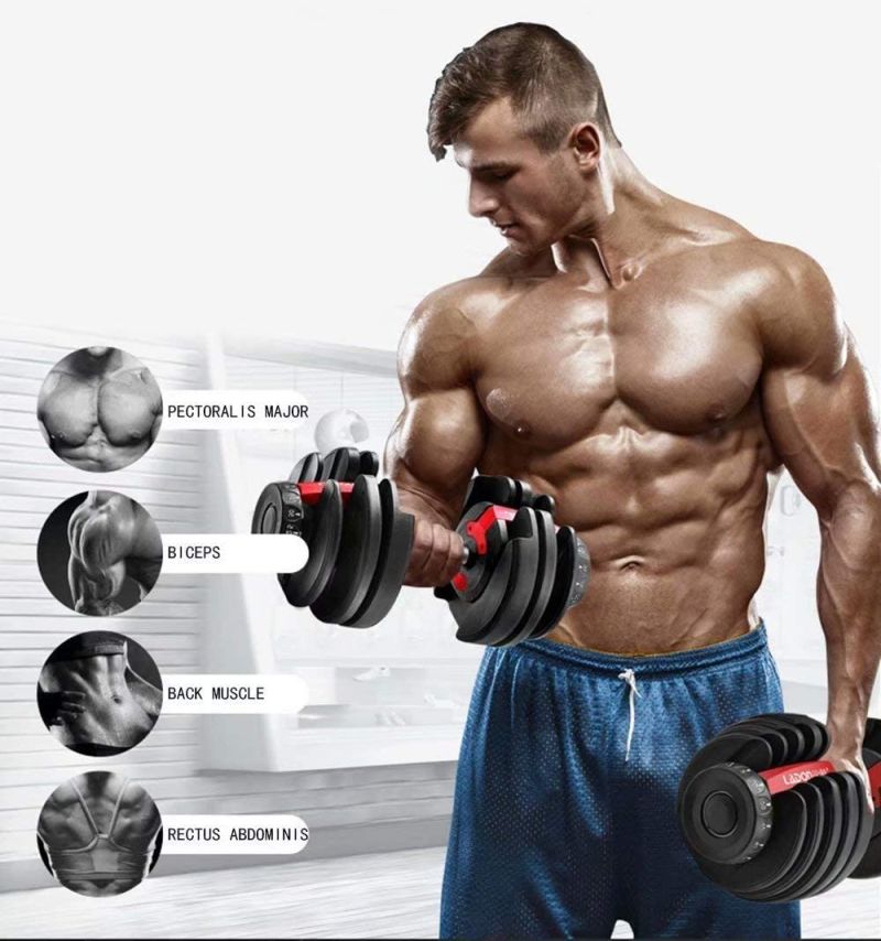 Adjustable Weights Dumbbells 24kg Gym Training Bodybuilding Weight Set