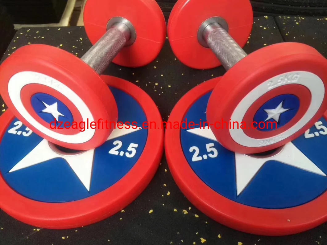 Home Use Hex Dumbbell Cheap Factory Price Fitness Machine