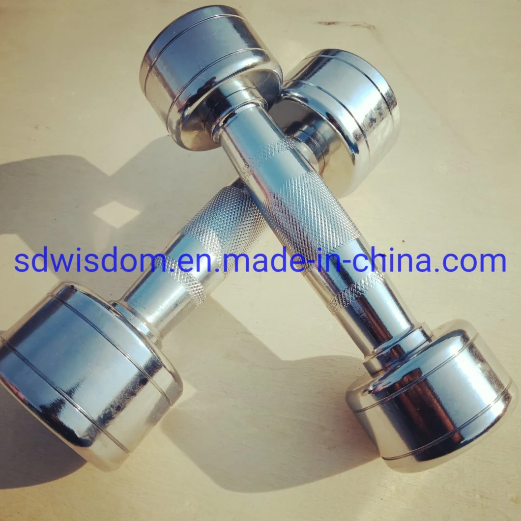 Gym Bodybuilding Fixed Round Stainless Steel Home Used Chrome Dumbbell for Fitness Equipment