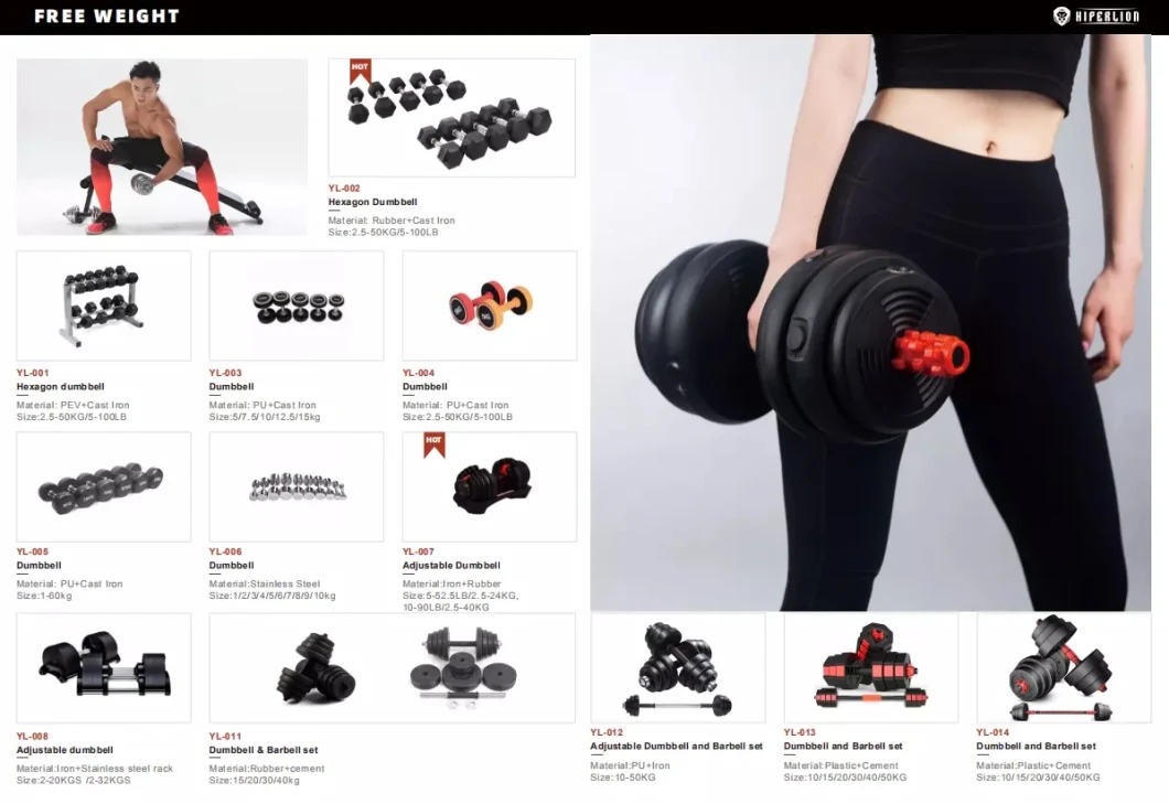 Wholesale Cast Iron Fitness Bodybuilding Equipment Painted Dumbbell