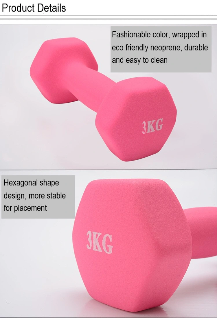 Custom Bodybuilding Home Gym Cast Iron Hex Dumbbell Set