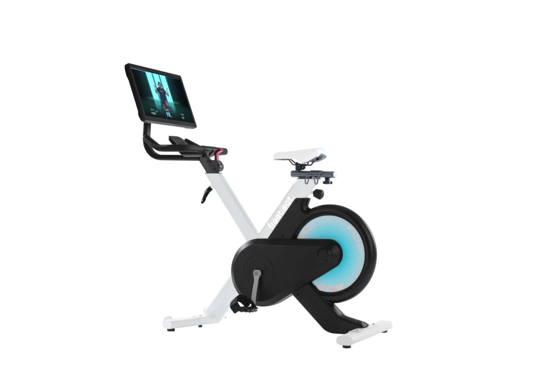 Smart Home Use Indoor Cycle Exercises Equipment Spinning Bike