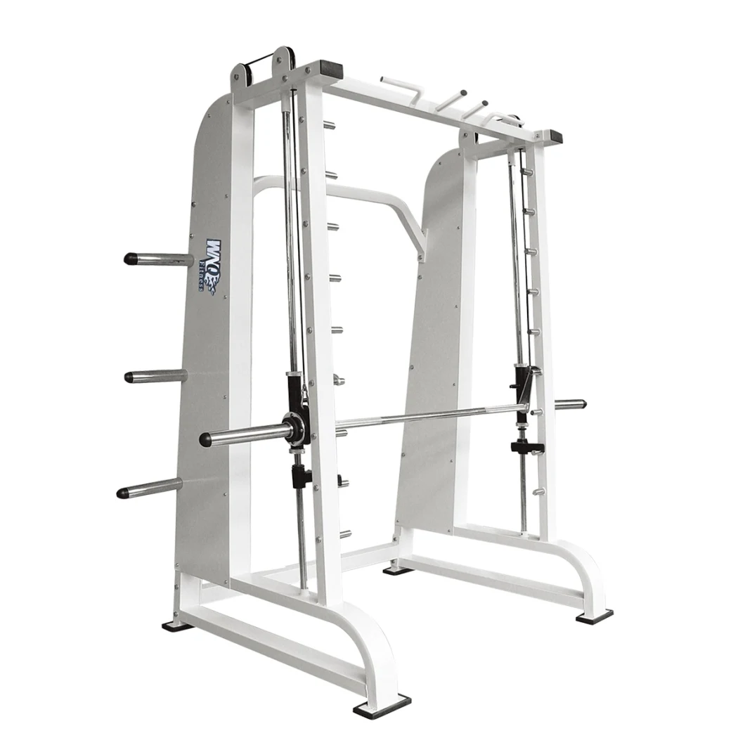 Smith Machine with Squal Rack Commercial Home Gym Equipment