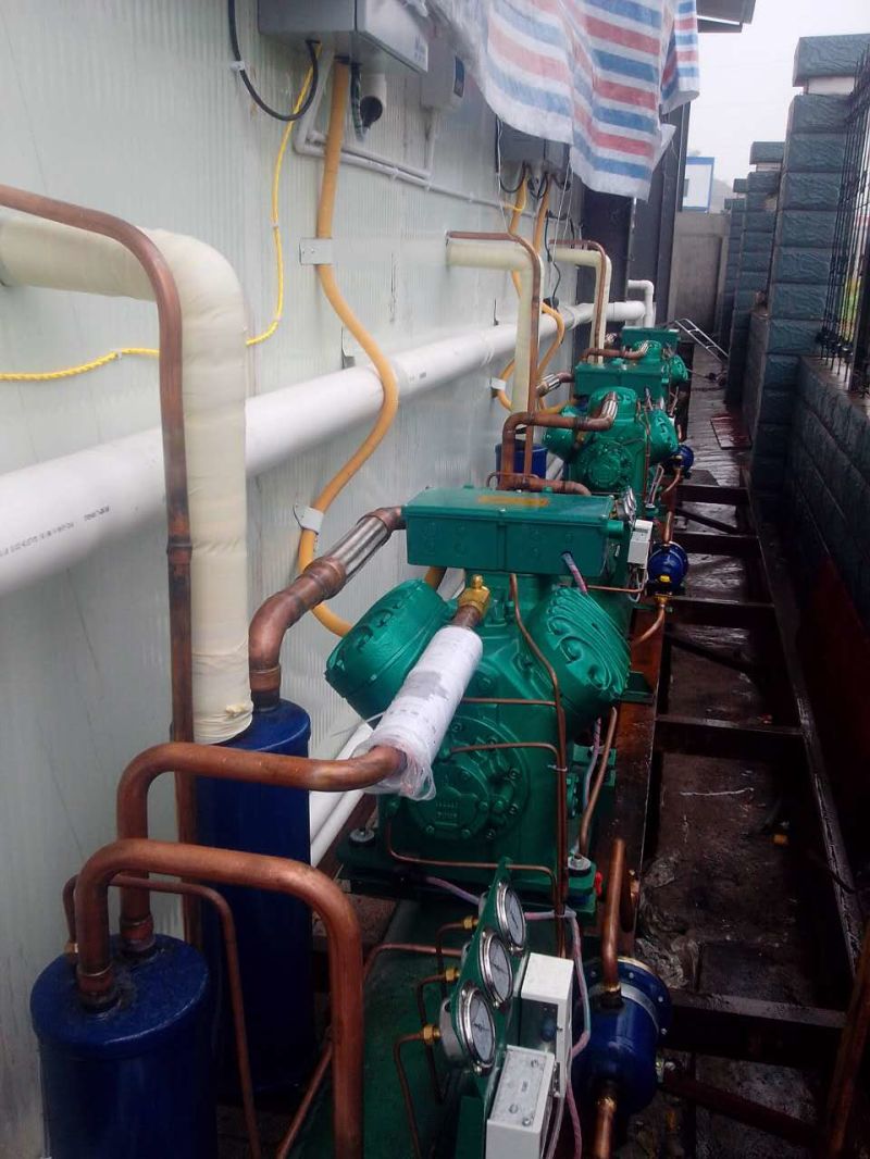 Shenglin Air Cooled Condensing Units Cold Room Condenser Units