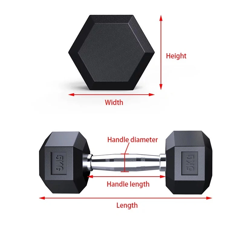 Gym Equipment Weight Lifting Rubber Coated Hex Dumbbell