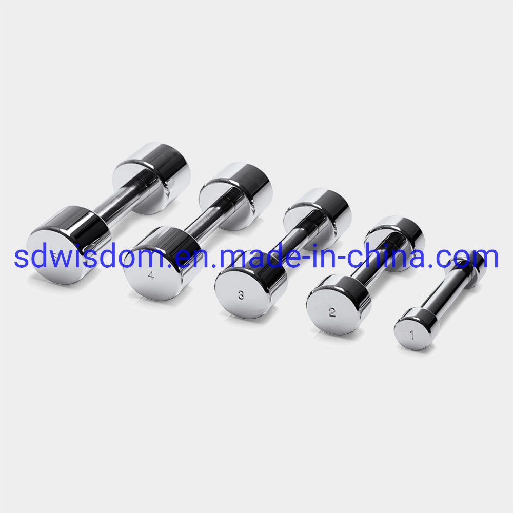 Gym Bodybuilding Fixed Round Stainless Steel Home Used Chrome Dumbbell for Fitness Equipment