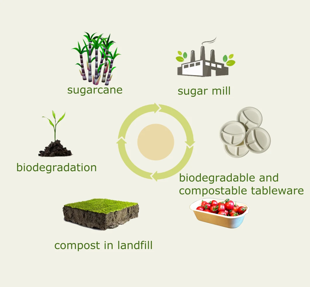 FDA Standard Wholesale Biodegradable Plates