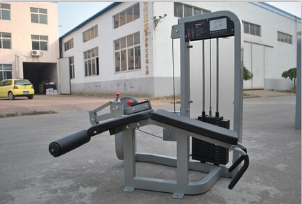 Leg Curl, Life Fitness Gym Strength Equipment Life Fitness Equipment