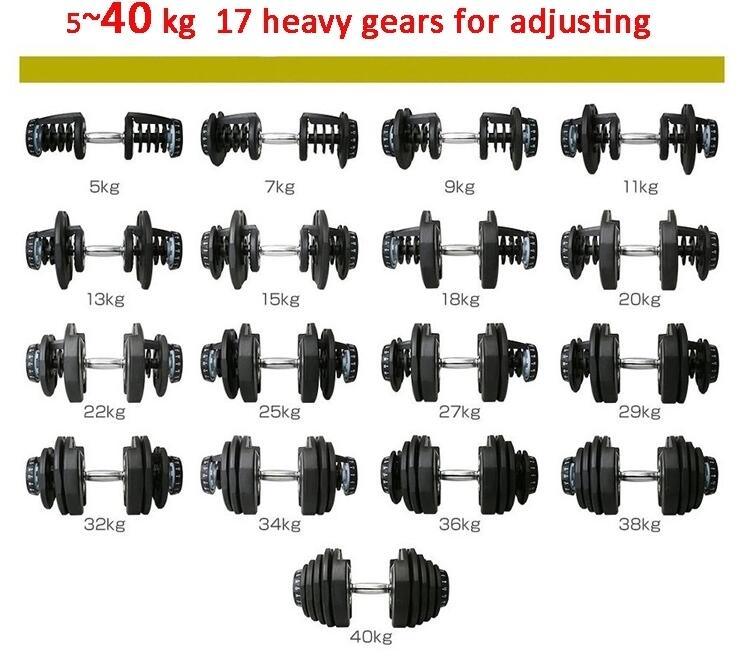 2021 Beyond Sport New Free Weights Fitness Dumbbells