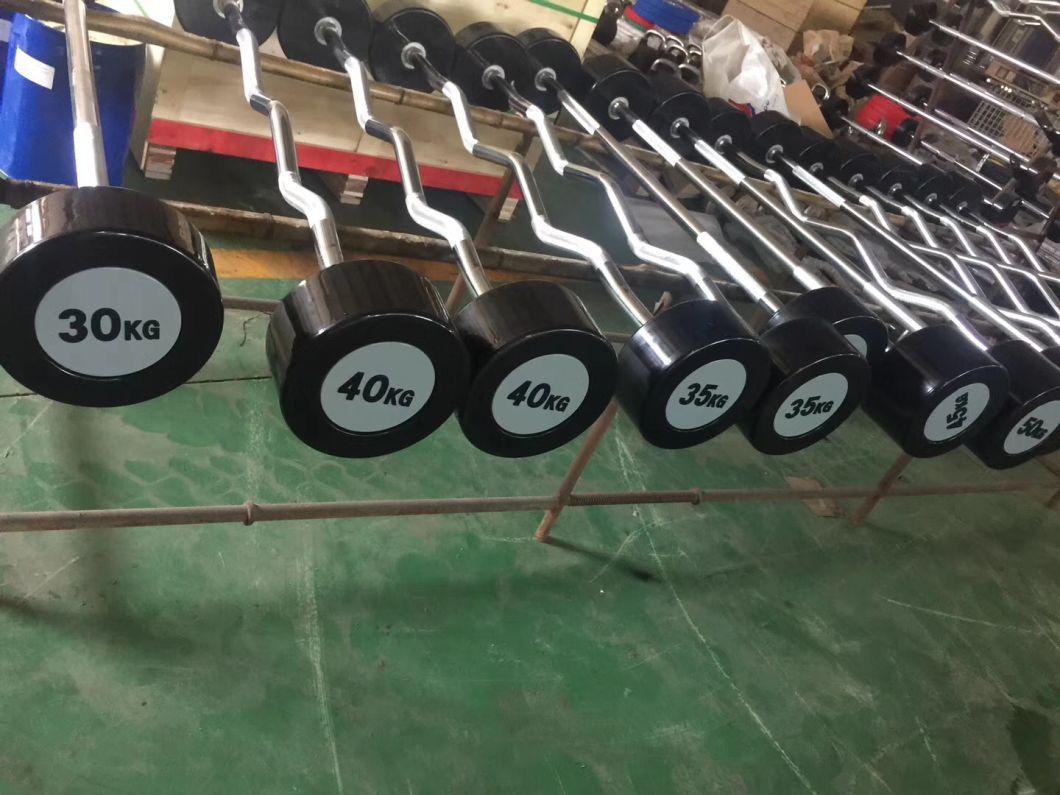 Shangdong Huiyang Gym Equipment PU Fixed Curl Barbell Osf-032A