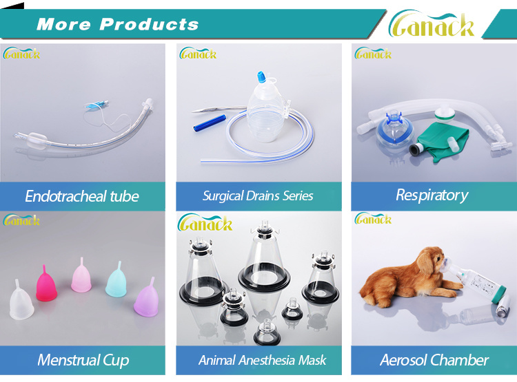 Collapsible Menstrual Cup Lady Cup Menstrual