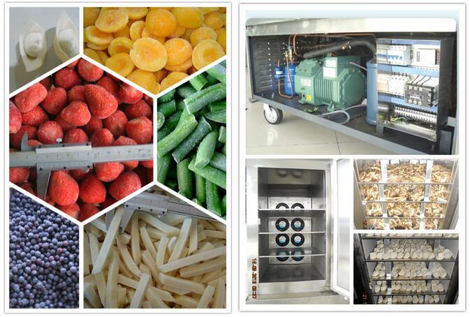 Single Door Deep Freezer Chiller Cabinets Freezer