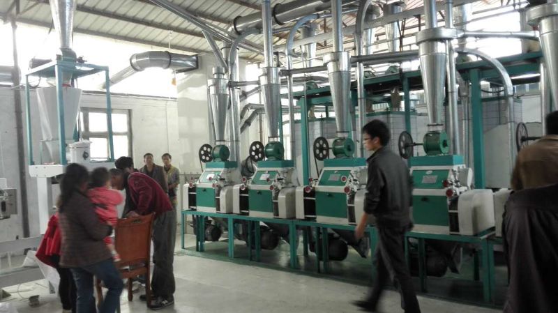 Small Capacity Complete Set Wheat Flour Mill Milling Machines