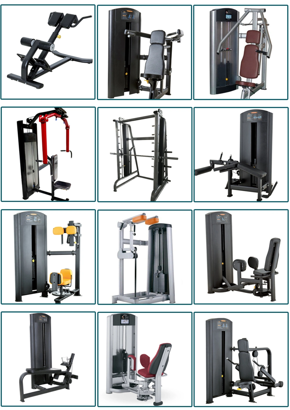 Standing /Seated Calf Machine Gym Strength Equipment Body Fitness Equipment