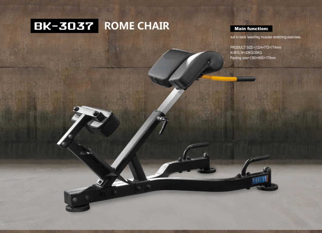 Wholesale Foldable Adjustable Exercise Sit up Bench Multi-Functions Roman Chair Bench Rome Chair Bench Bk-3037