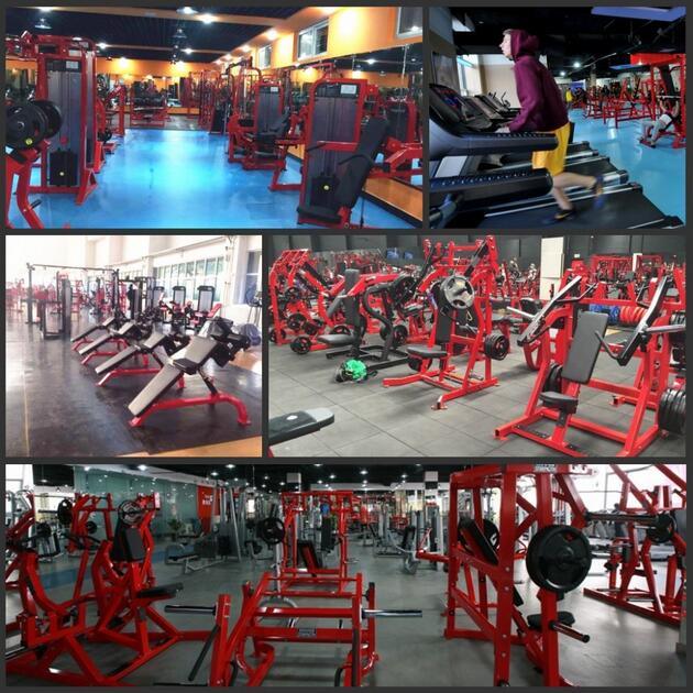 Fitness Equipment/Gym Equipment/Ajustable Bench