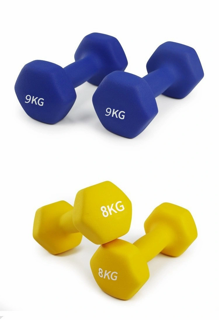 Custom Bodybuilding Home Gym Cast Iron Hex Dumbbell Set