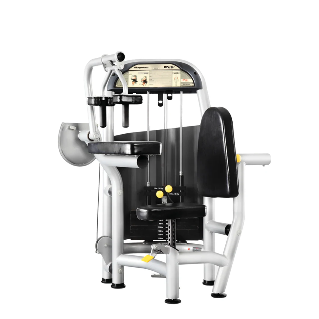 Selectorized Commercial Luxury Triceps Extension Machine Gym Fitness Strength Equipment