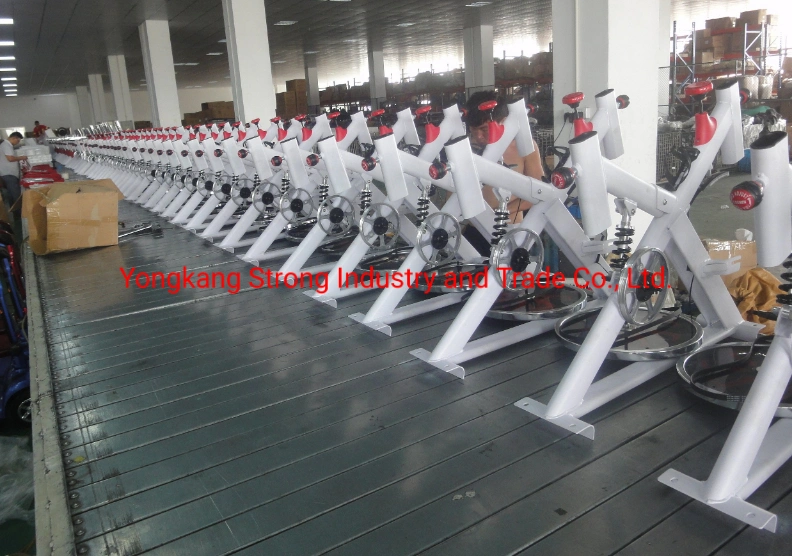 Eb010 Hot Sell Fitness Bike and Spinning Bike for Home Exercise