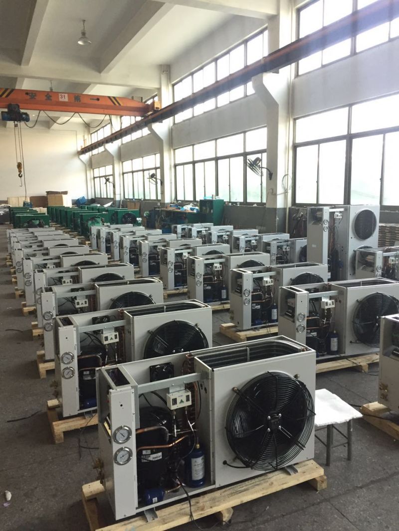 Shenglin Air Cooled Condensing Units Cold Room Condenser Units