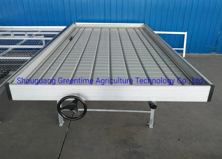 Hydroponic Flood Table with Metal Rolling Benches for Agricultural Planting