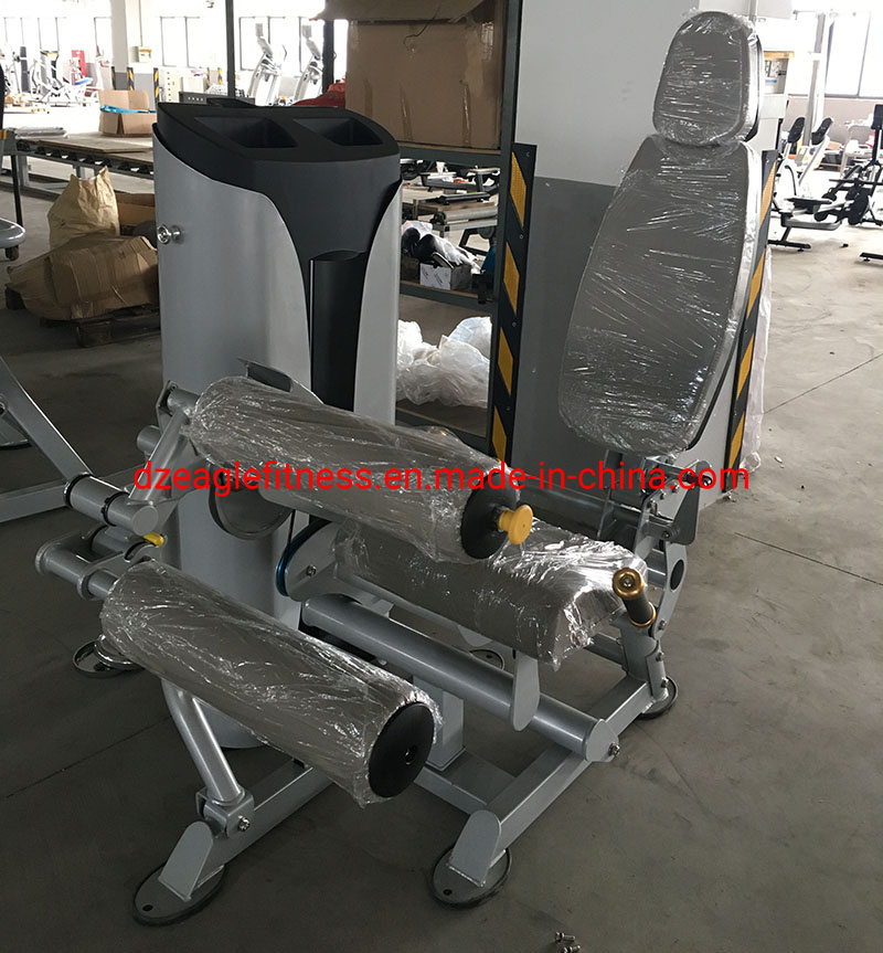 Leg Curl /Commercial Training Equipment/Sports Equipment /Gym Exercise Machine