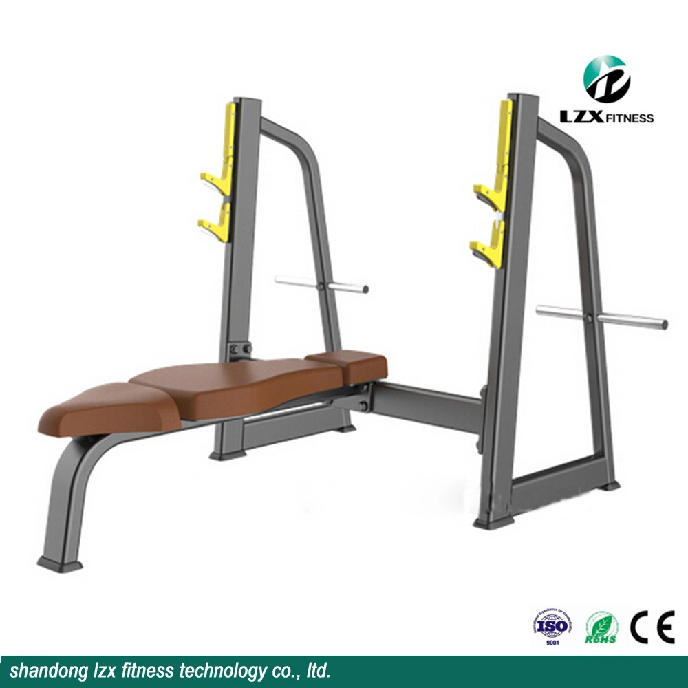 Body Building Fitness Equipment in Folding Sit up Bench/Used Weight Bench for Sale Home Gym Equipment