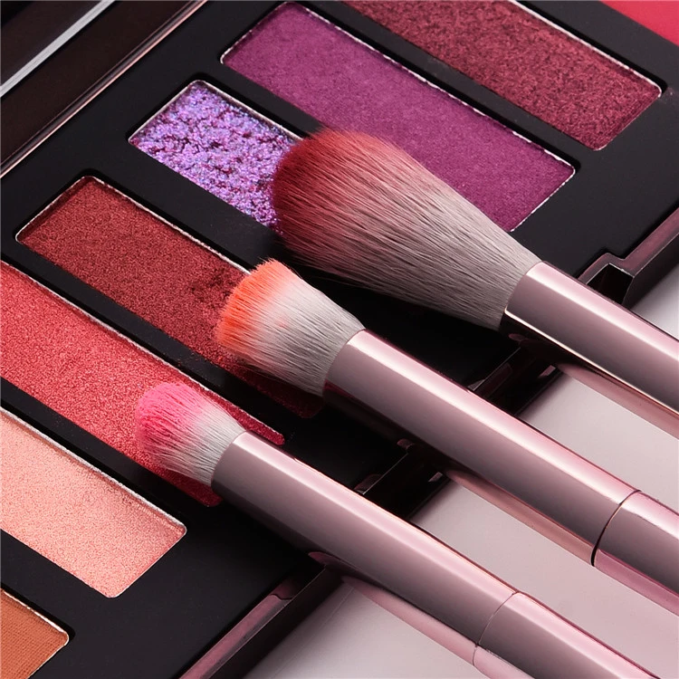 Makeup Brushes Set 10PCS for Makeup