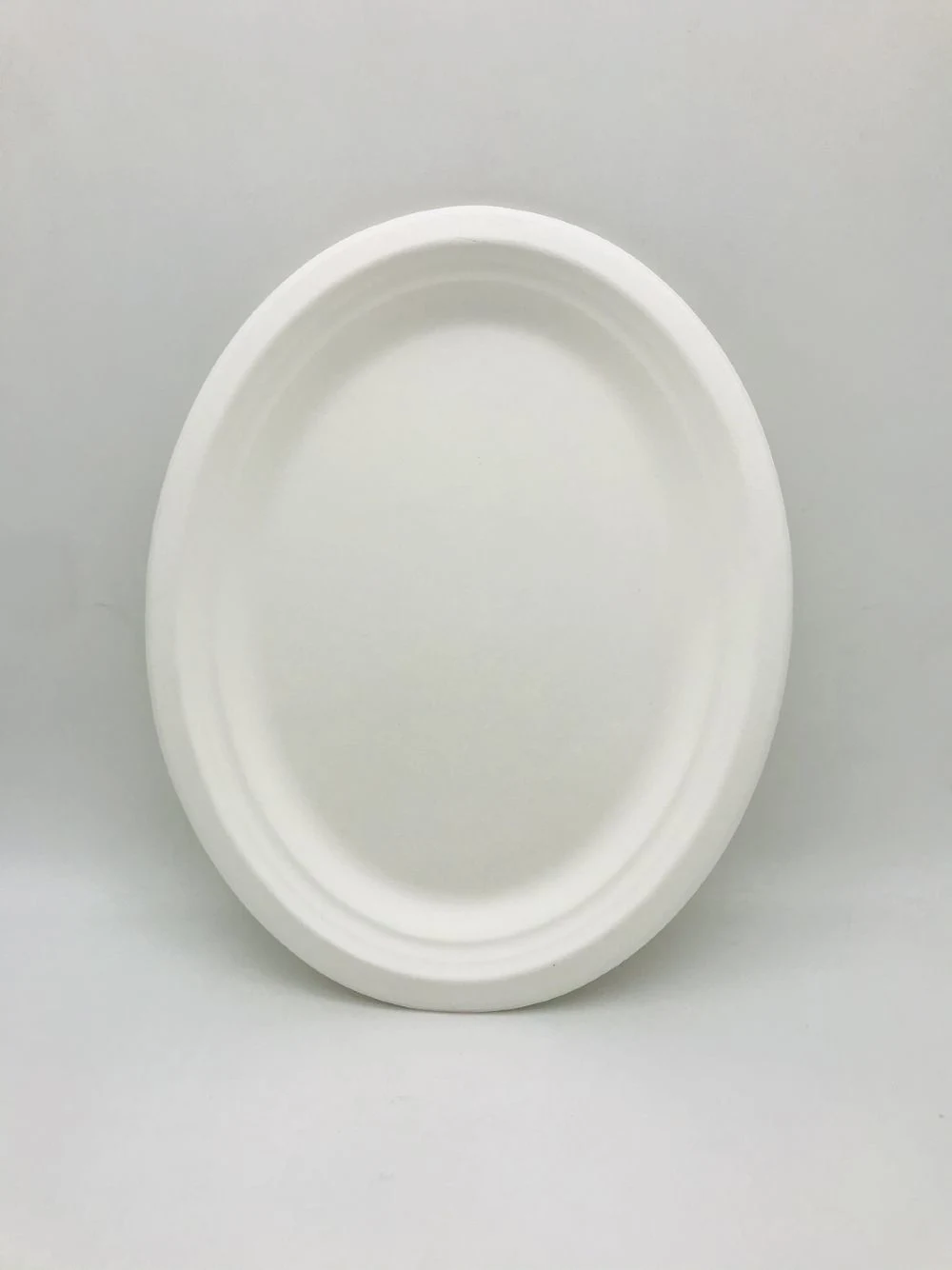 Disposable Biodegradable Plates Sugarcane Bagasse Paper Pulp Mould Plates