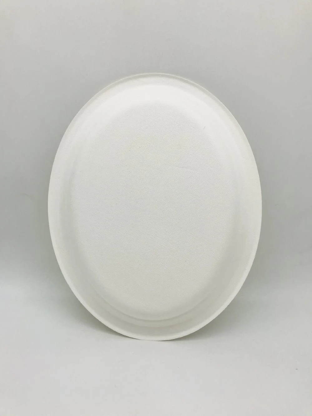 Disposable Biodegradable Plates Sugarcane Bagasse Paper Pulp Mould Plates