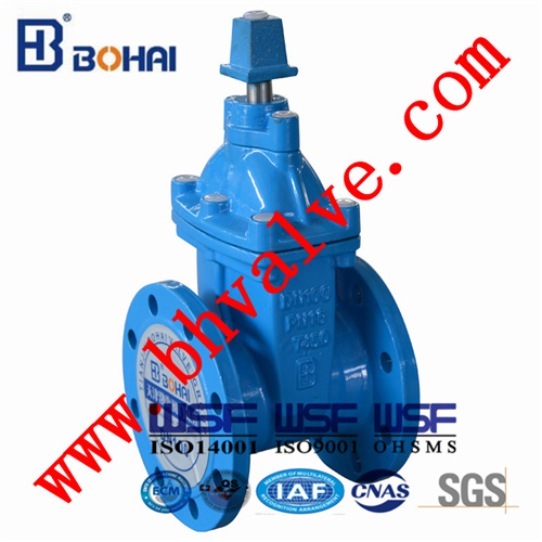 Ductile Iron Brass Metal-Seal Cast Iron Water Gate Valve