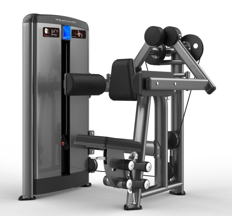 Professional Gym Fitness Equipment-Lateral Raise