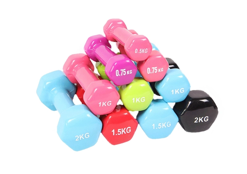 Gym Yoga Exercise Fitness Body Building Sport Portable Dumbbells Gym Equipment