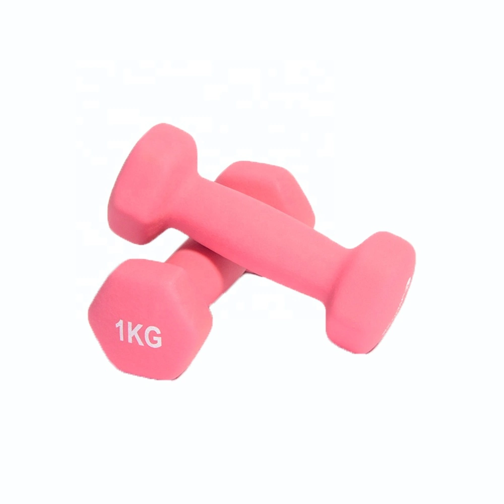 Waterproof Colorful Woman Macaron Dumbbells for Sale