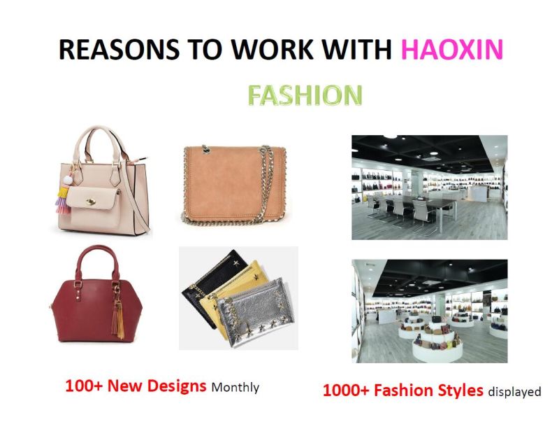 2021 New Arrivals Wholesale Women Designers Luxury Handbags Nylon Ladies Handbags for Women