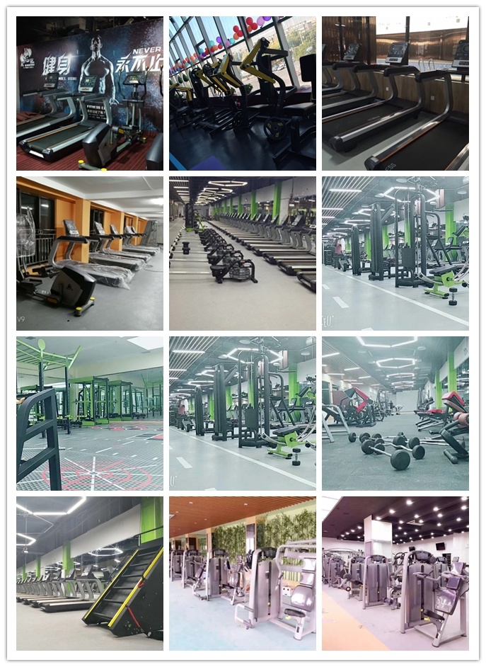 Ningjin Gym Equipment Factory Sale Weight Bench/Gym Bench