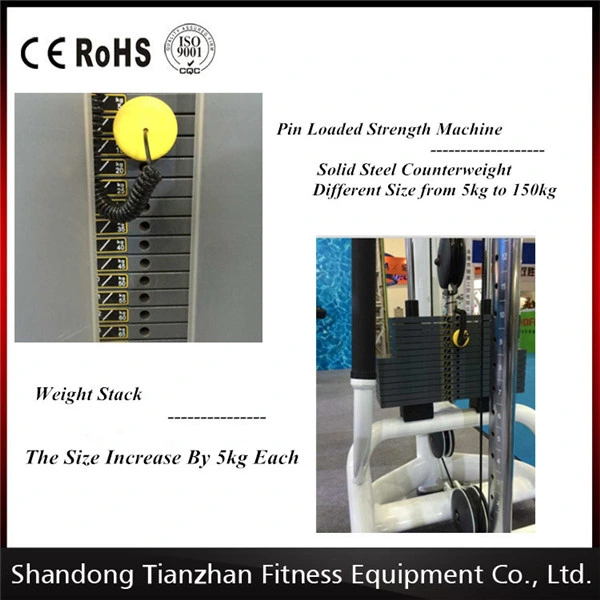 Pin Loaded Strength Machines/Prone Leg Curl